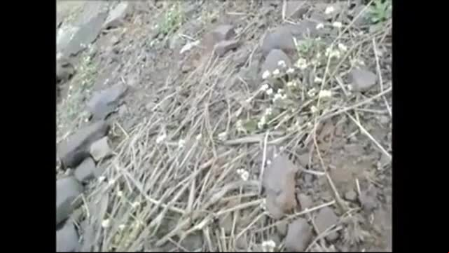 Desi randi suck cock in outdoor hindi audio